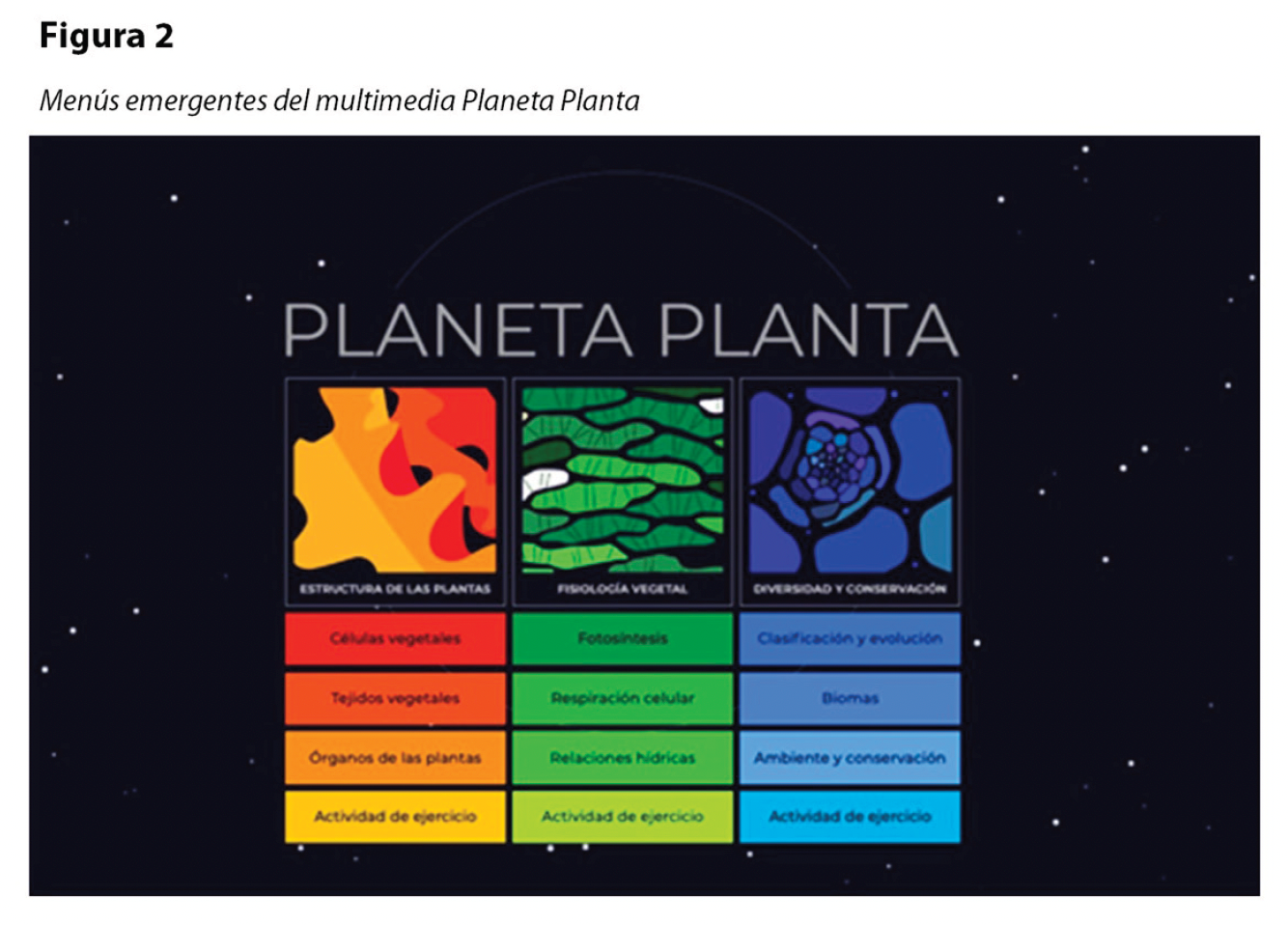 Figura 2