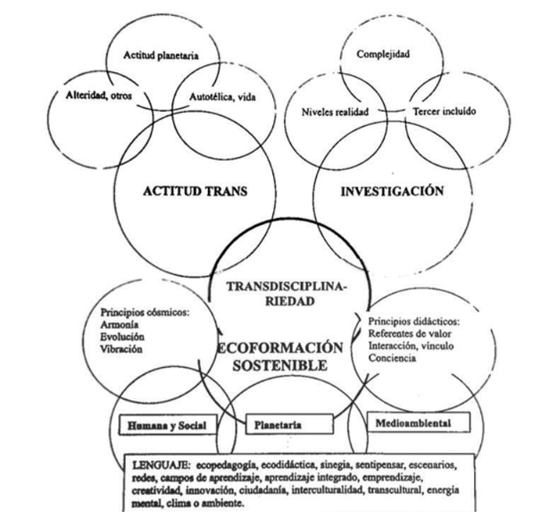 Principales conceptos y campos de la transdisciplinariedad