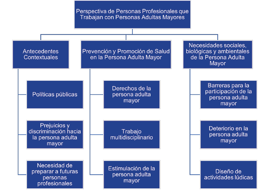 Temas y subtemas de perspectivas de personas profesionales que trabajan con personas adultas mayores