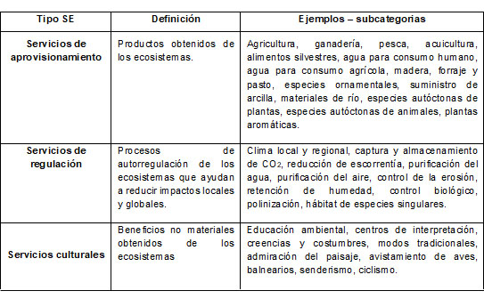 Clasificación de los servicios ecosistémicos según la VIBSE



