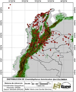 Figura 2.