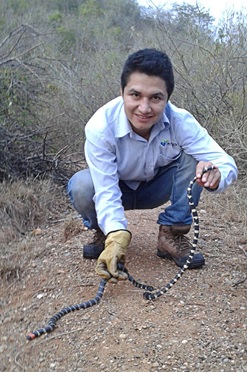 Figura 1.
