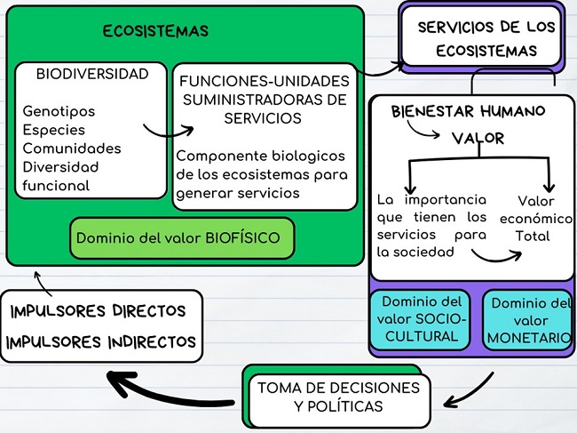Figura 2.1.