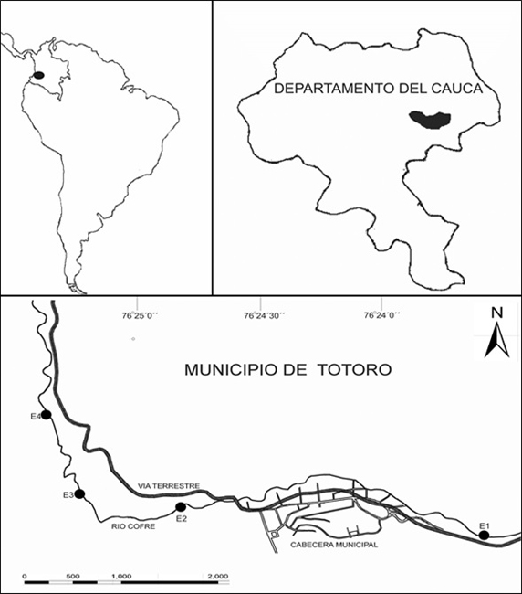 Figura 1.