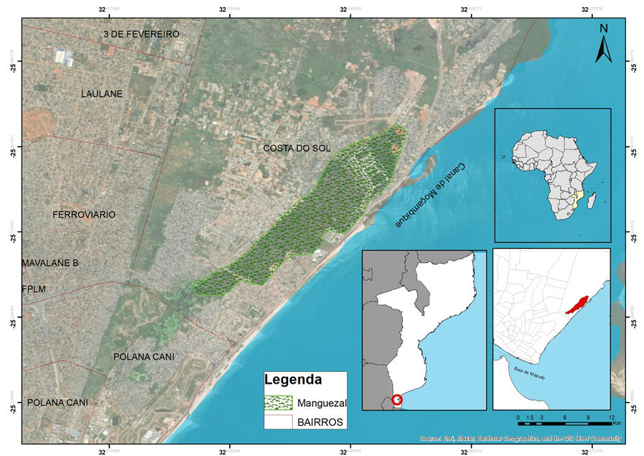 Localiza&ccedil;&atilde;o dos manguezais da Costa do Sol em Maputo.Fonte: elaborado pelos autores, 2023.