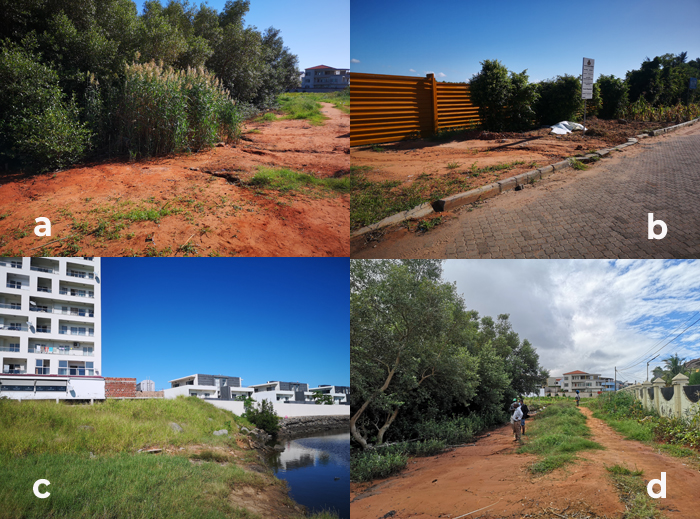 (a) Soterramento no entorno da regi&atilde;o natural de expans&atilde;o dos manguezais, (b) Area vedada e em conflito dentro da &aacute;rea de manguezal, (c) Resid&ecirc;ncias constru&iacute;das em encima do canal do fluxo natural (d) parte soterrada do mangue para constru&ccedil;&atilde;o de via.