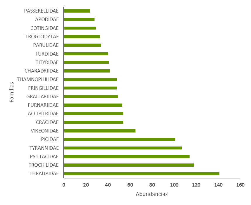 Figura 9. Abundancia de individuos clasificados en familias en la cobertura B (Bosque).