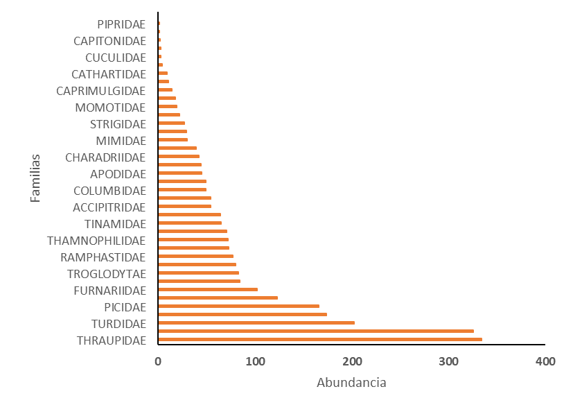 Figura 5. Abundancia total de individuos clasificados en familias por coberturas A (Zona abierta); B (Bosque), A y B (Intersecci&oacute;n A-B).