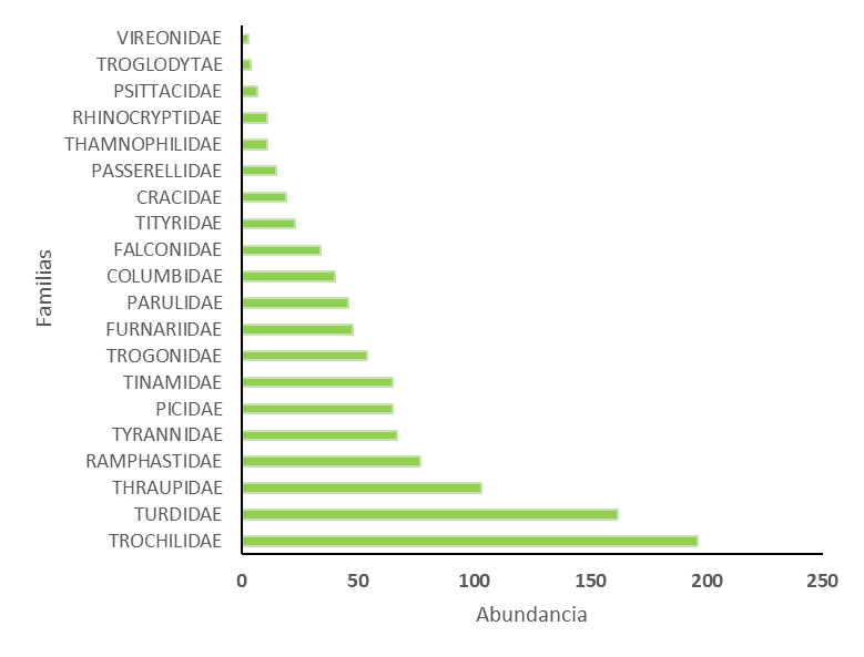 Figura 7. Abundancia de individuos clasificados en familias en la cobertura A-B (Intersecci&oacute;n entre las coberturas A y B).