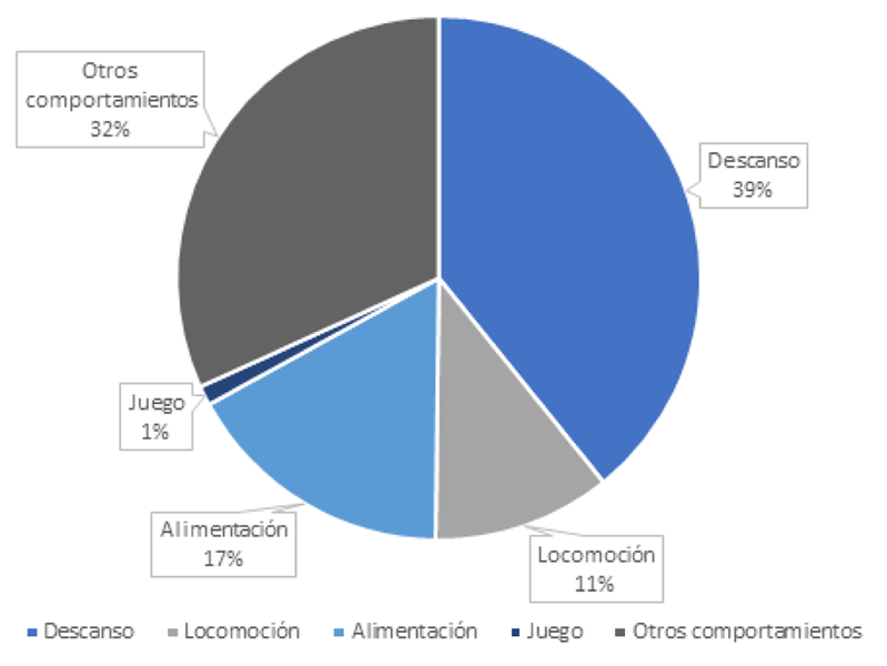 Distribución porcentual de los comportamientos observados en los dos individuos en cautiverio bajo estudio.