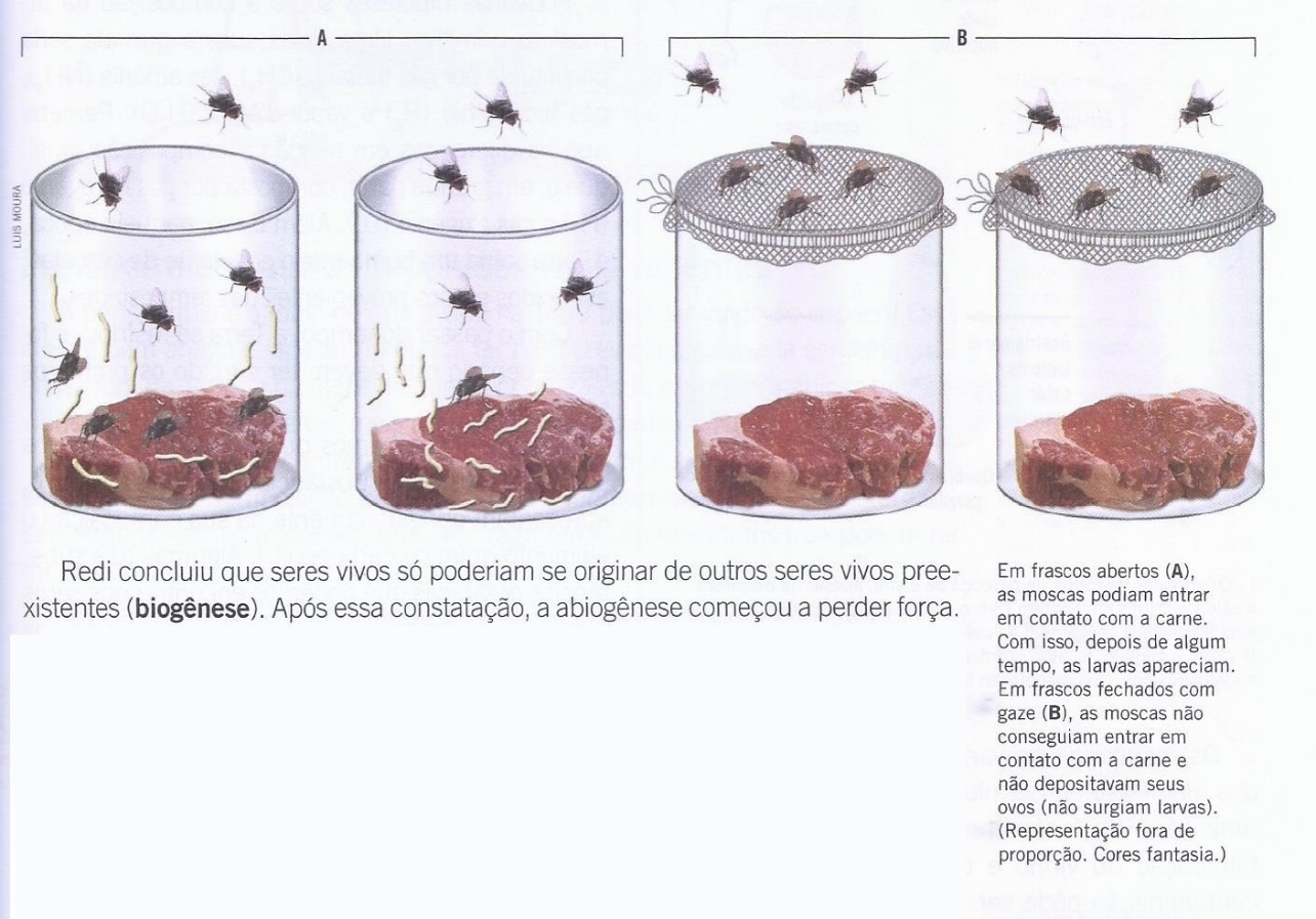Enunciado sobre o experimento de Redi