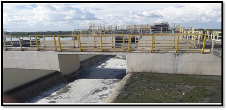 Tratamento de esgotos na lagoa
de estabilização