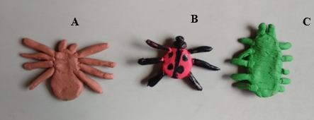 Modelos didáticos construídos pelos estudantes. Representantes: Aranha (A),
Joaninha (B) e tatuzinho de jardim (C)