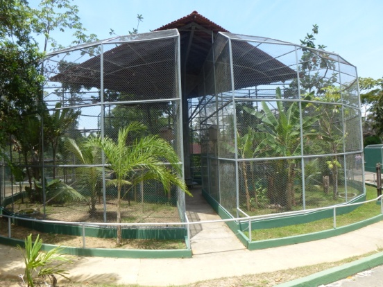 Gaiolão das aves
