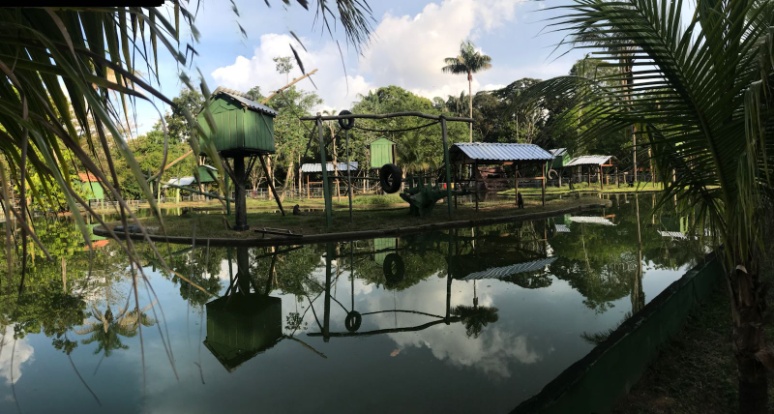  Ilha dos macacos.