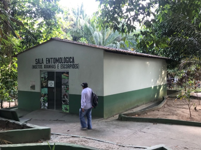 Sala Entomológica.