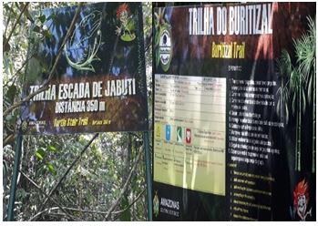 Trilhas do Parque Sumaúma