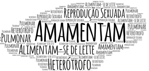 Caracteriza&ccedil;&atilde;o
do modelo conceitual presente na orienta&ccedil;&atilde;o dos estudantes em forma de nuvem de
palavras 