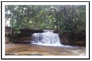 Cachoeira
principal da ASFRAMA cercada de vegetais superiores e com a predominância de
briófitas, liquens, fungos e algas.