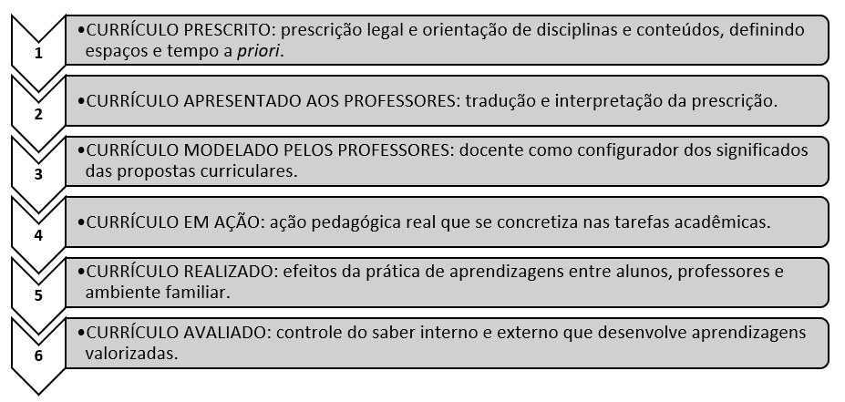 Figura 1: processos de objetivação do currículo
            