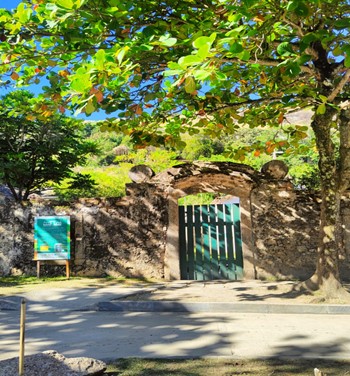 Projeto pibiquinho Um clique na cidade de Niter&oacute;i: (re)conhecendo a cidade
com as crian&ccedil;as