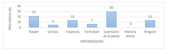 Frecuencia de las principales enfermedades que afectan  los cultivos en seis parroquias y recintos del
sur de Manabí.