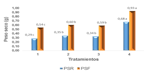 Peso seco foliar (PSF) y
radical (PSR) a los 120 días
en vivero.