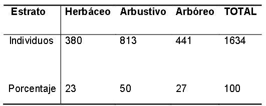 Total de individuos presentes en los estratos vegetales estudiados en el matorral xeromorfo costero y subcostero de la Reserva Ecológica Baitiquirí.