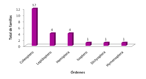 Total de familias identificadas por órdenes en P. cubensis.