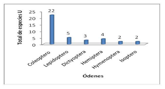 Total de especies identificadas por órdenes.