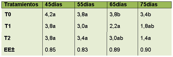 Comportamiento de la fluctuación en la población
de Mosca Blanca en las plantas de Frijol común Bat 304 ante los diferentes tratamientos.