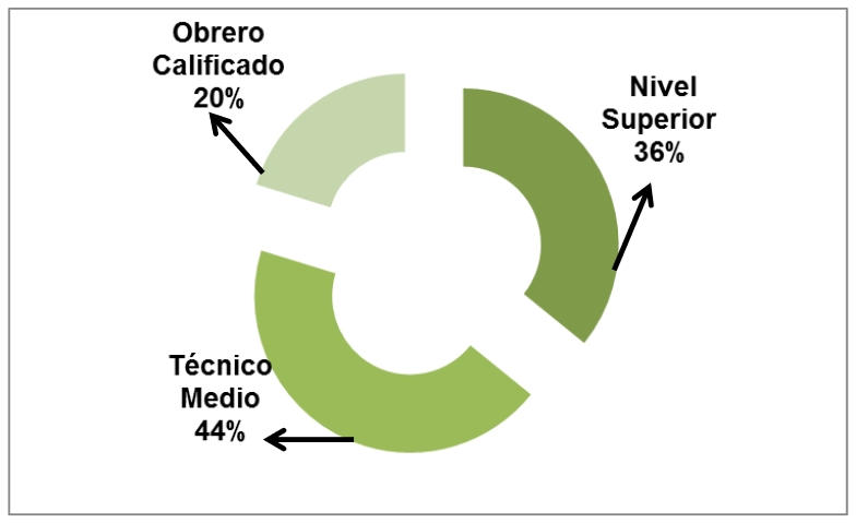 Demanda de Fuerza de Trabajo Calificada por niveles 2021-2029