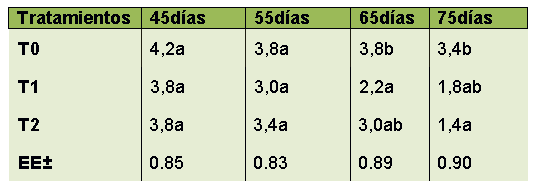 Comportamiento de la fluctuación en la población
de Mosca Blanca en las plantas de Frijol común Bat 304 ante los diferentes tratamientos.