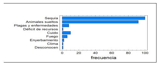 Problemas que afectan el desarrollo de frutales en la comunidad.