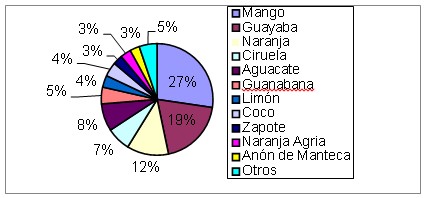 Frutales cultivados en casa