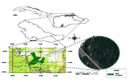 Ubicación del área
de estudio.