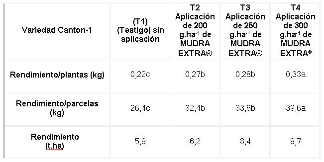 Efecto de los tratamientos en la variable rendimiento de la variedad de habichuela estudiada