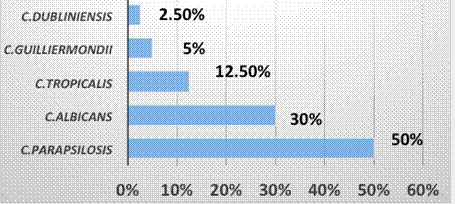Distribución de especies de Candida aisladas (n=40) en la sala de UCIN, Hospital del Niño José Renán Esquivel 2014