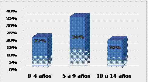 Nivel académico