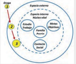  Desplazamiento de la droga (consumo
experimental – ocasional –
habitual). Leyenda: (1) consumo
experimental; (2) consumo oca- sional; (3) consumo habitual. Rojas-Jara C, 2018.