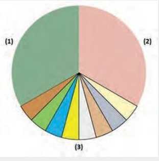 Representación gráfica de la forma en que debe
gestionarse el tiempo. Leyenda: (1)
tiempo dedicado al sueño y al descanso (8 h); (2) tiempo dedicado al trabajo y al estudio; (3) tiempo de dicado a
otras ac- tividades (desarrollo personal, atención a la familia, actividades sociales, hobbies y necesidades personales (8 h). Fuente: Fabelo-Roche JR, 2018.