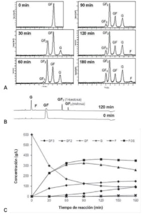Curso temporal de la reacción Sa1-SSTrec (9000
U/L) con azúcar de caña (600 g/L) a pH 5,5 en reactor con agitación constante a 250 rpm y
temperatura 40 ºC. 