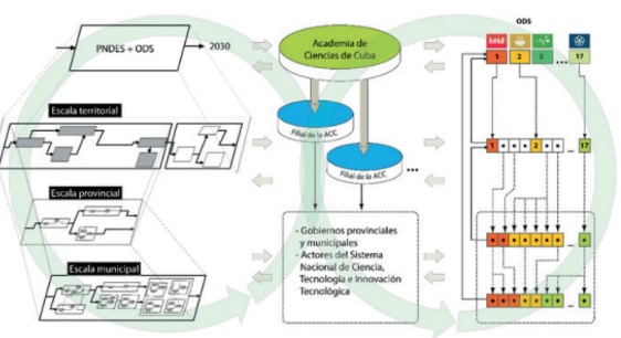 Modelo conceptual de la función articuladora de la ACC en función de los ODS y el desarrollo del país.
