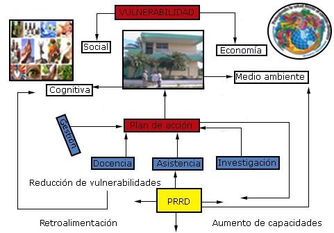 El plan de acción su interrelación, intersectorialidad, sostenibilidad
y la multidisciplinariedad