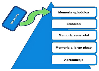 Campo
semántico relativo al ejercicio de memoria