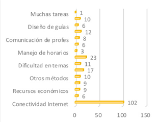Las
principales dificultades y avances de los estudiantes frente a las actividades
escolares