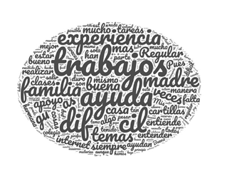 Sobre
c&oacute;mo ha sido la experiencia familiar del trabajo escolar durante el periodo de
tiempo de la pandemia