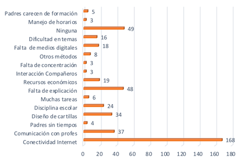 Las  principales  dificultades  y  avances  de  los  estudiantes frente a las actividades escolares