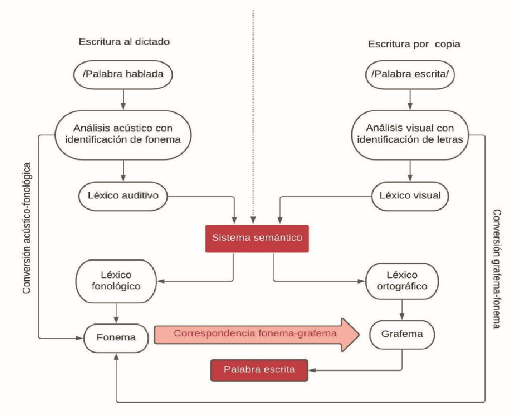 Clasificación o tipos de escritura