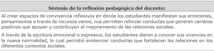 Síntesis de la reflexión pedagógica del docente